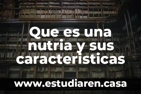Que es una nutria y sus caracteristicas 16 Que es una nutria y sus caracteristicas