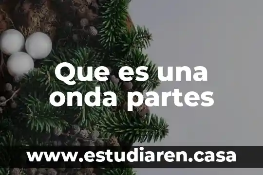 Que es una onda partes