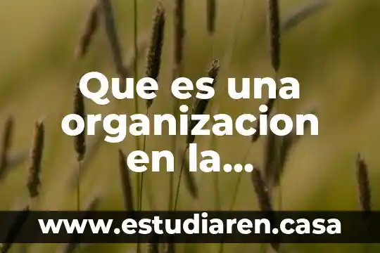 Que es una organizacion en la comunidad