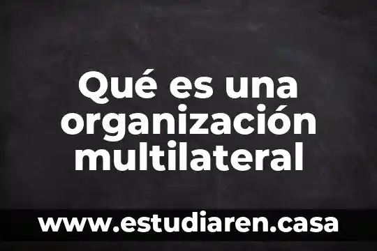 Qué es una organización multilateral