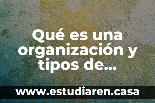 Qué es una organización y tipos de organización