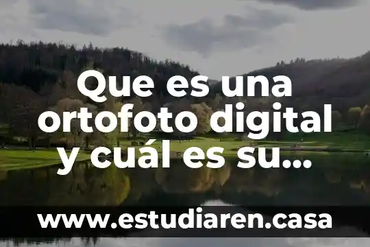 Que es una ortofoto digital y cuál es su utilidad
