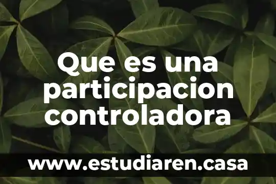 Tarjeta controladora que es 5 Que es una participacion controladora
