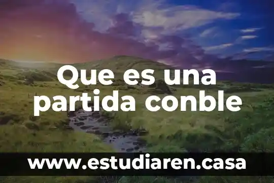 Que es una partida de gasto 4 Que es una partida conble