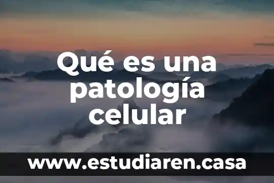 Qué es un médico cirujano en patología clínica 6 Qué es una patología celular