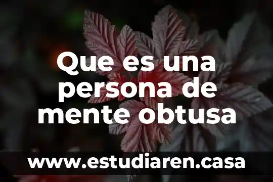 Que es una persona de mente obtusa