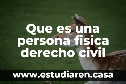 Que es una persona fisica derecho civil