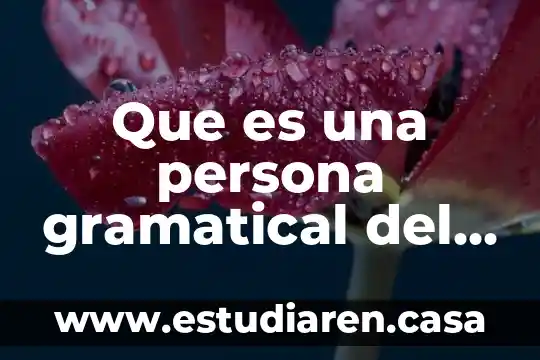 Que es el tiempo gramatical pos preterito 6 Que es una persona gramatical del singular