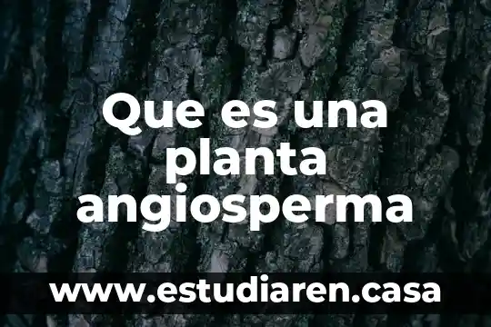 Que es una planta angiosperma