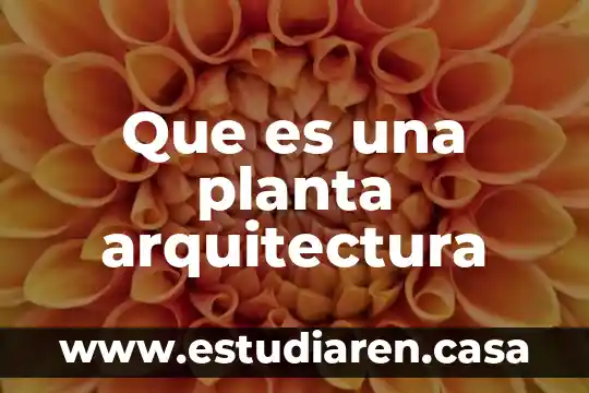 Que es una planta arquitectura