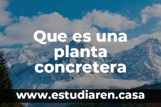 Que es una planta concretera