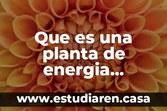 Que es una planta de energia nuclear