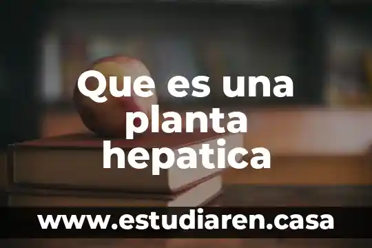 Que es una planta informacion 5 Que es una planta hepatica