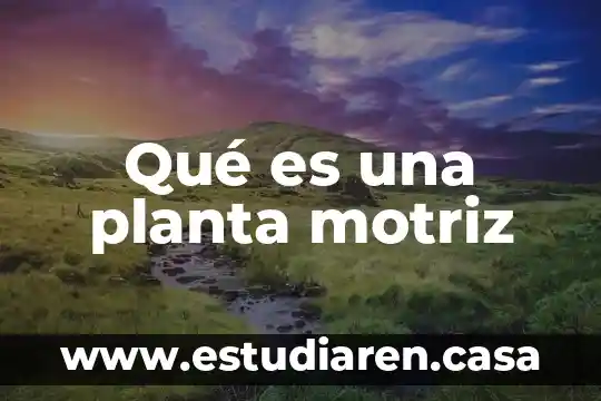 Qué es una planta motriz