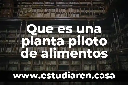 Que es una planta piloto de alimentos
