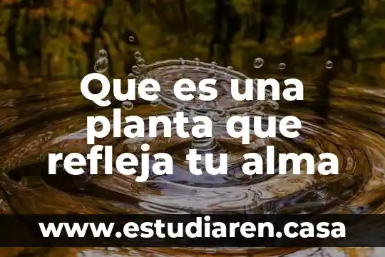 Que es una planta que refleja tu alma