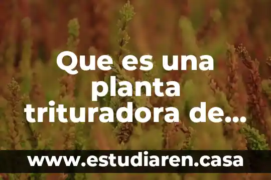 Que es una planta trituradora de piedra
