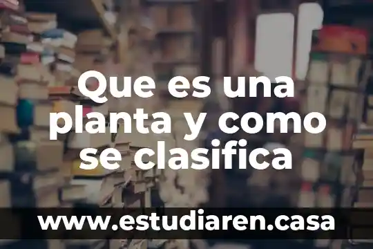 Que es una planta y como se clasifica
