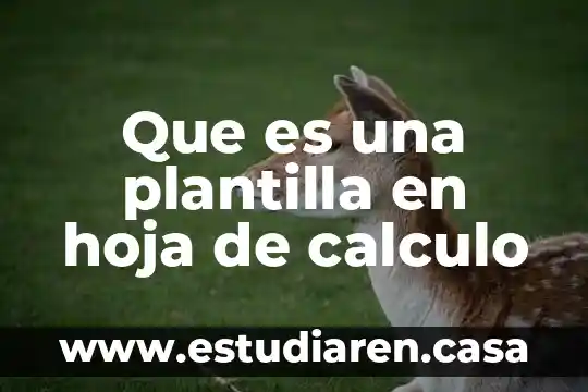Que es una plantilla en hoja de calculo