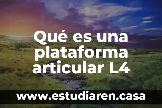 Juego articular que es 8 Qué es una plataforma articular L4