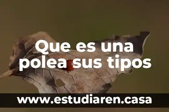 Que es una polea sus tipos