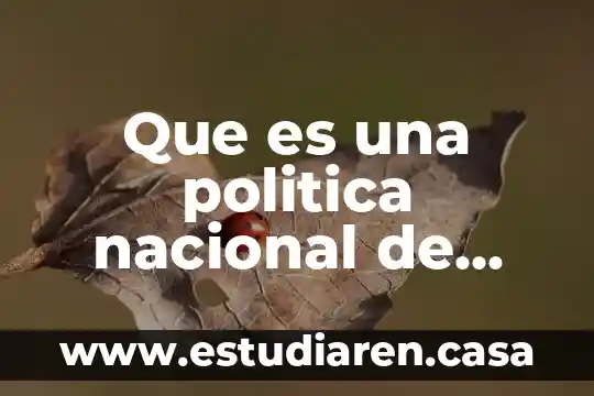 Que es una politica nacional de salud vicente navarro