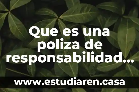 Qué es la responsabilidad patrimonial de los poderes públicos 3 Que es una poliza de responsabilidad civil contractual