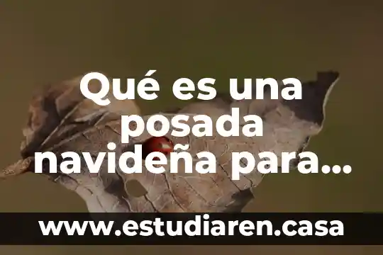 Qué es el viacrucis y sus estaciones para niños 6 Qué es una posada navideña para niños