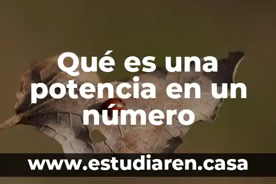 Qué es una potencia en un número