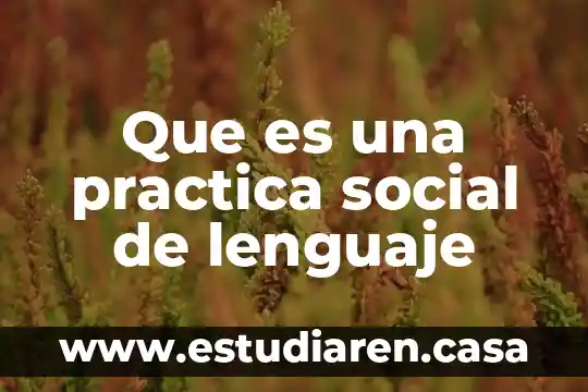 Que es una practica social de lenguaje