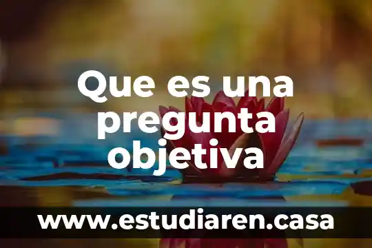 Qué es una pregunta significativa 4 Que es una pregunta objetiva