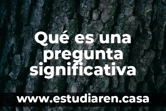 Que es una pregunta objetiva 8 Qué es una pregunta significativa
