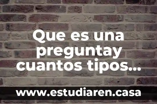 Que es una preguntay cuantos tipos ahi