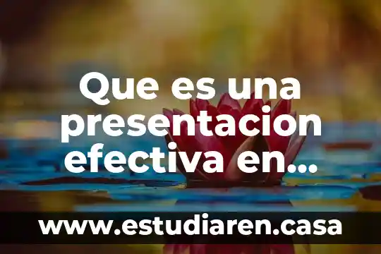 Qué es un ordenador gráfico en power point 8 Que es una presentacion efectiva en power point