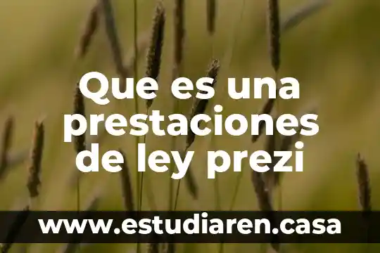 Jeffrey alexander que es la teoria prezi 5 Que es una prestaciones de ley prezi