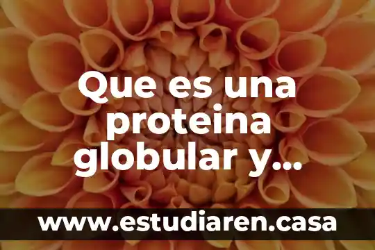 Que es una proteina globular y funcion