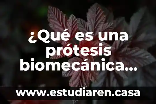 Que es una prueba de nucleo en protesis 5 ¿Qué es una prótesis biomecánica con las matemáticas?
