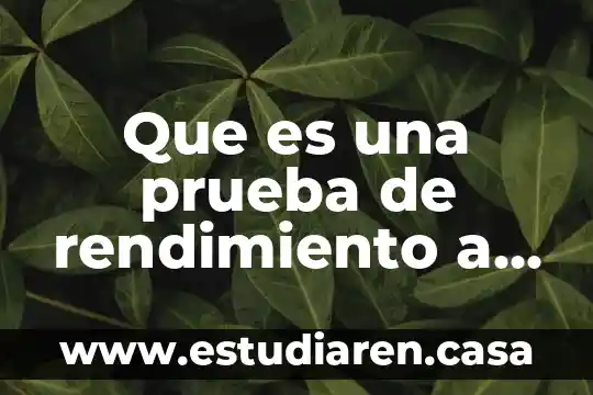 Que es una prueba de rendimiento a mi pc