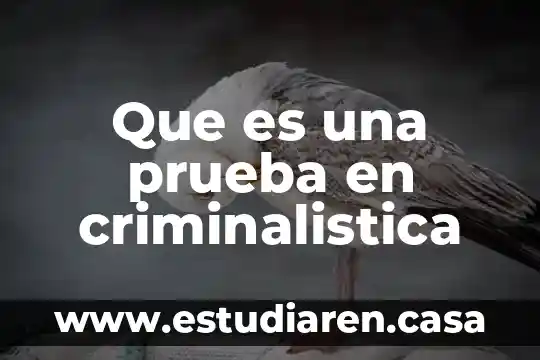 Que es una prueba en criminalistica