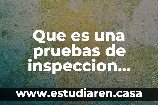 Que es una pruebas de inspeccion judicial