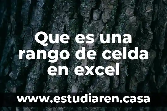 Que es celda en tecnologia 4 Que es una rango de celda en excel