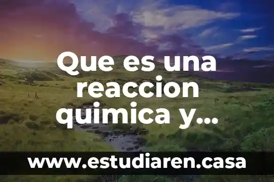 Que es una reaccion quimica y como identificar los productos