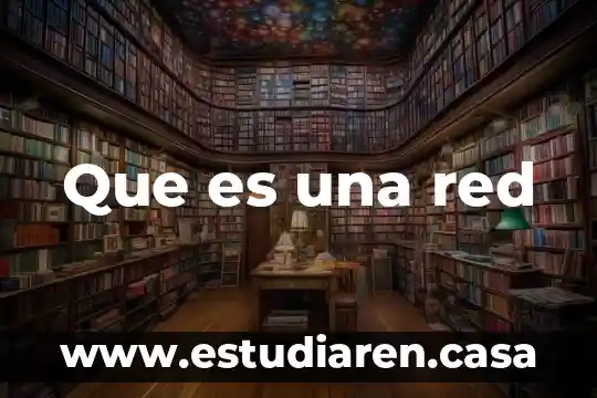 Que es la racionalidad en la teoria de pierre bourdieu 3 Que es una red