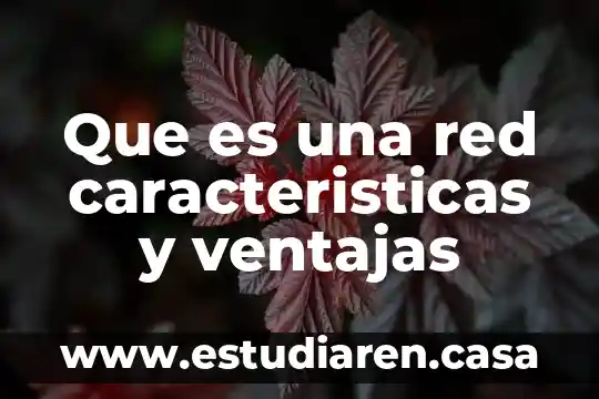 Qué es una red sin uso medido 5 Que es una red caracteristicas y ventajas