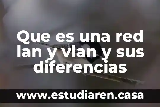 Que es una red lan y vlan y sus diferencias