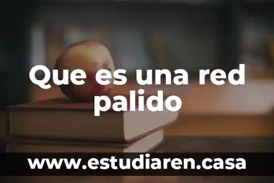 Que es una red palido