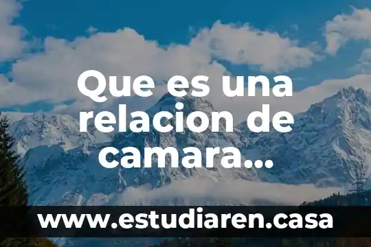 Que es la racionalidad en la teoria de pierre bourdieu 5 Que es una relacion de camara cruzada