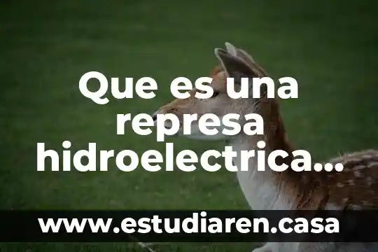 Que es multidimensional definicion 3 Que es una represa hidroelectrica definicion