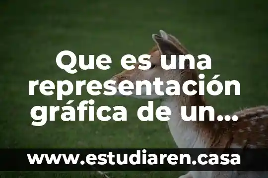 Que es representacion tecnica a lo largo de la historia 8 Que es una representación gráfica de un texto