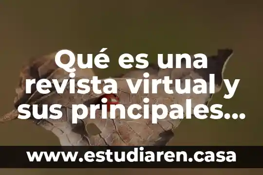 Que es el analisis de componentes principales en algebra lineal 8 Qué es una revista virtual y sus principales características